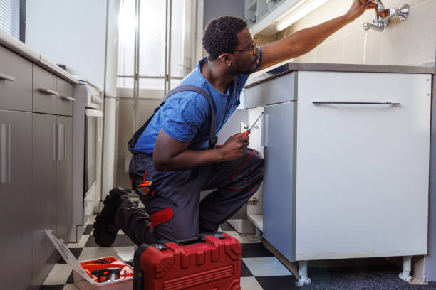 Best Affordable Plumbing Services  in Lake Kerr, FL