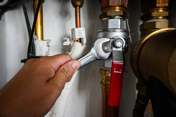 Best Sprinkler Systems  in Lake Kerr, FL